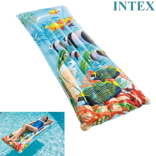 [9588] Intex Transparent Mats : 59720/59720NP