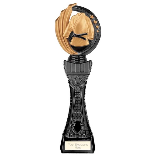 [12415] Renegade Heavyweight Martial Arts Award- TPX22442 - 31cms