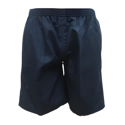 Navy Blue Shorts
