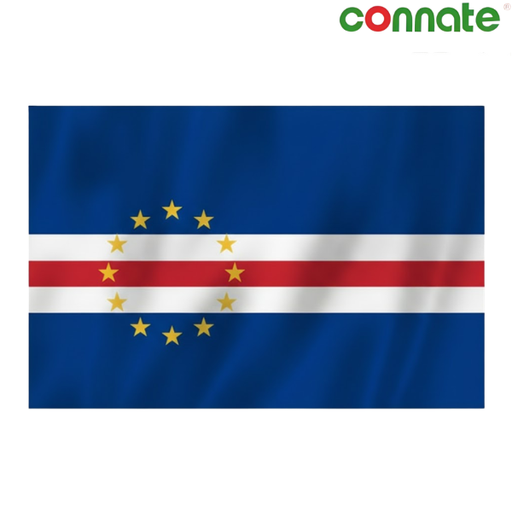 Connate Flag Assorted Countries : 15090