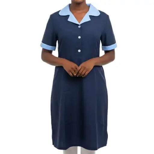 House Keeping Dress