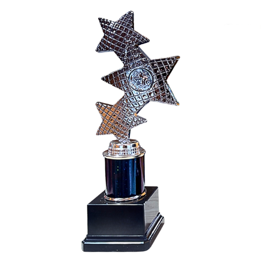 Trinity Star Multisport Tube Trophy Black & Silver - TR25602