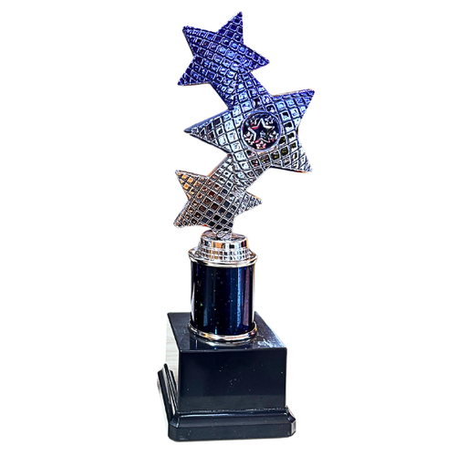 Trinity Star Multisport Tube Trophy Blue & Silver - TR25599