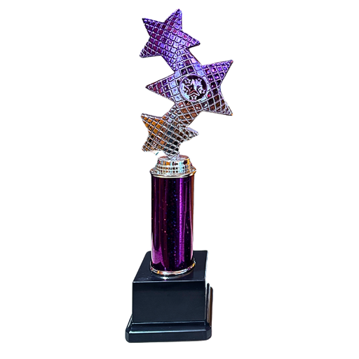 Trinity Star Multisport Tube Trophy Purple & Silver - TR25601